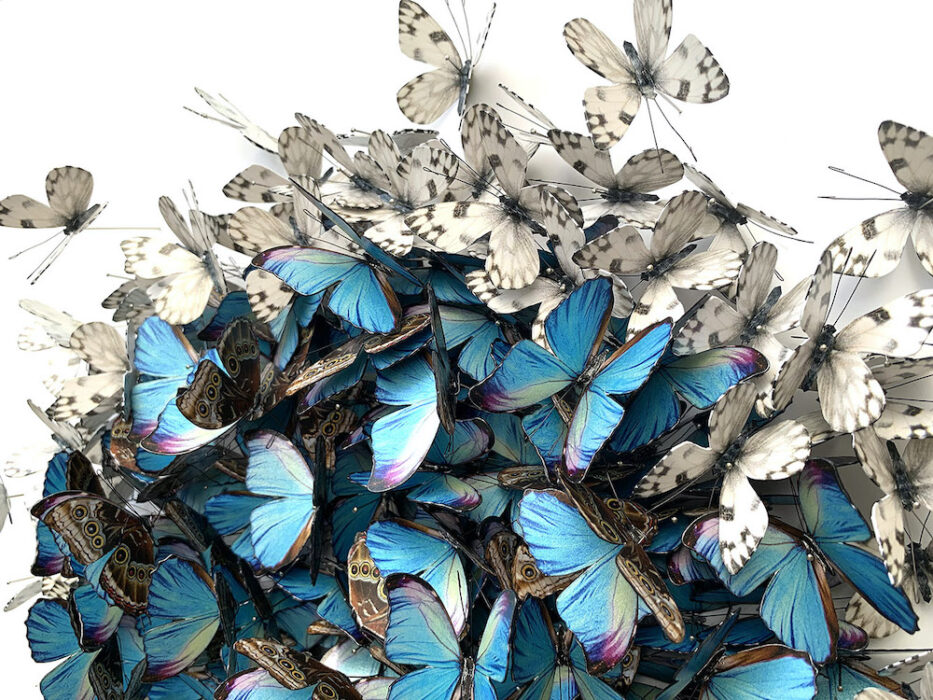 Guilded artist Daniel Byrne close up of paper butterflies
